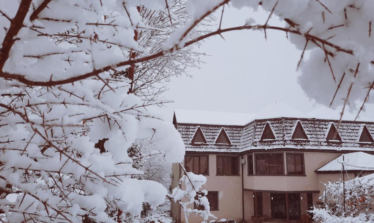 Inaisi Hotel Кутаиси Экстерьер фото